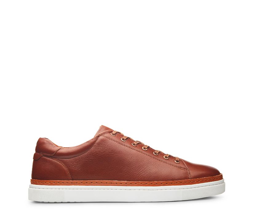 Chaussures Wolverine BLVD Low Homme - Marron (NKX346271)